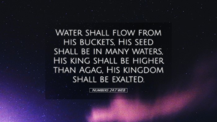Picture 05 - Numbers 24:7 WEB Desktop Wallpaper - Water shall flow from his buckets, His seed shall - Desktop Bible Verse Wallpaper