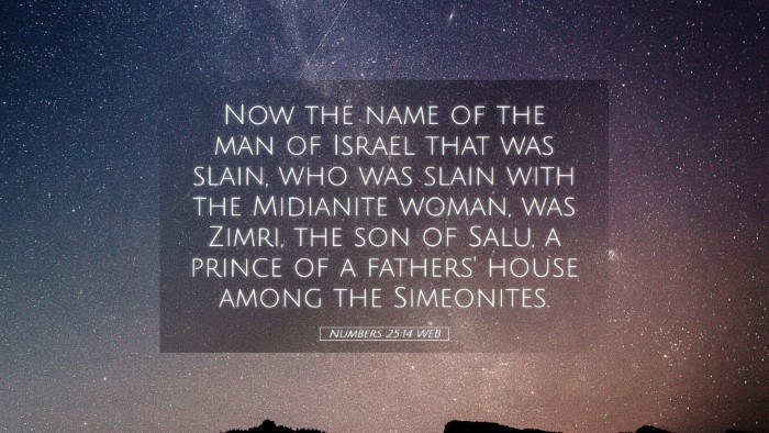 Picture 05 - Numbers 25:14 WEB Desktop Wallpaper - Now the name of the man of Israel that was slain, - Desktop Bible Verse Wallpaper