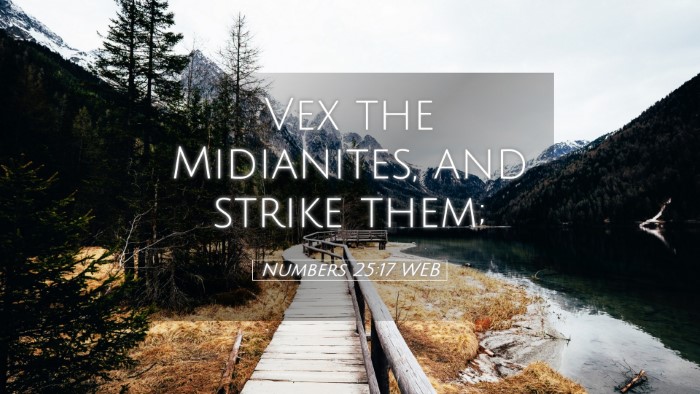 Picture 05 - Numbers 25:17 WEB Desktop Wallpaper - Vex the Midianites, and strike - Desktop Bible Verse Wallpaper