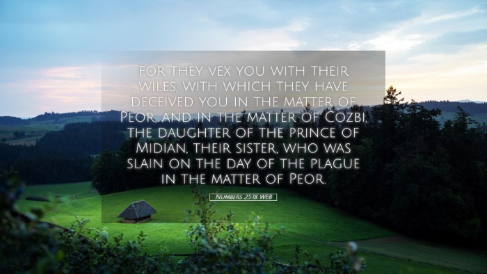Picture 05 - Numbers 25:18 WEB Desktop Wallpaper - for they vex you with their wiles, with which - Desktop Bible Verse Wallpaper