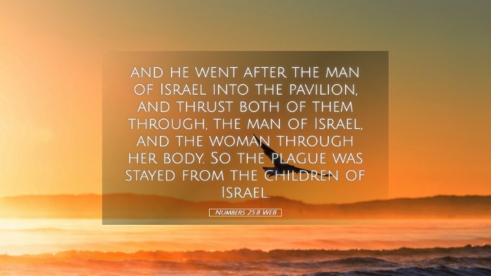 Picture 05 - Numbers 25:8 WEB Desktop Wallpaper - and he went after the man of Israel into the - Desktop Bible Verse Wallpaper