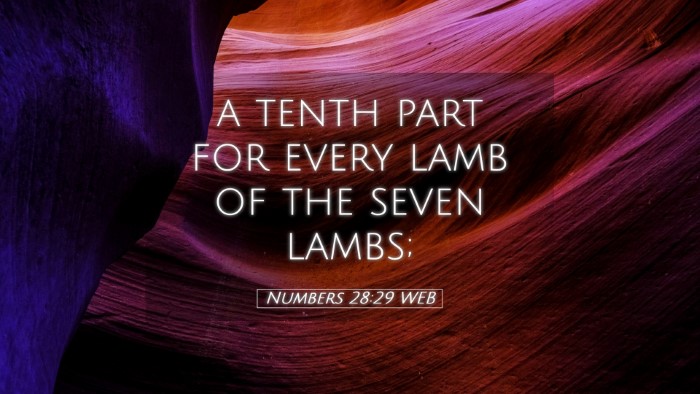 Picture 05 - Numbers 28:29 WEB Desktop Wallpaper - a tenth part for every lamb of the seven - Desktop Bible Verse Wallpaper