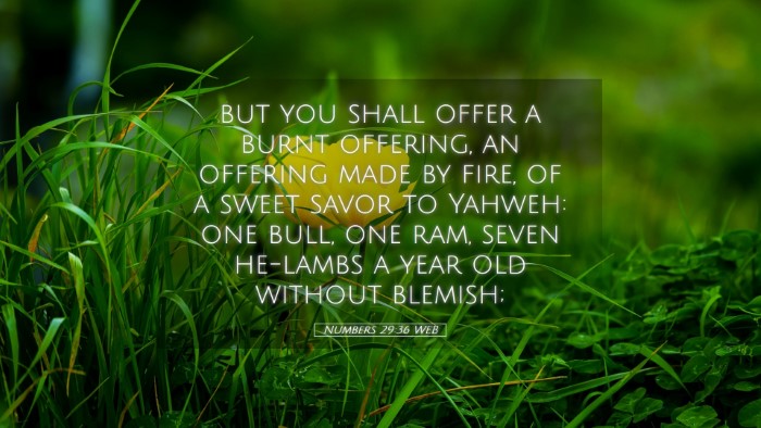 Picture 05 - Numbers 29:36 WEB Desktop Wallpaper - but you shall offer a burnt offering, an offering - Desktop Bible Verse Wallpaper