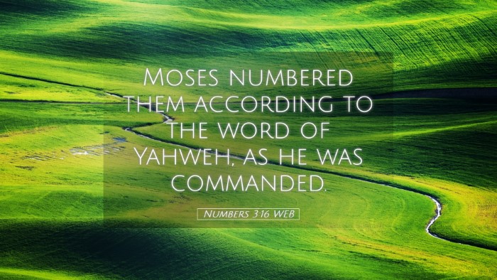 Picture 05 - Numbers 3:16 WEB Desktop Wallpaper - Moses numbered them according to the word of - Desktop Bible Verse Wallpaper