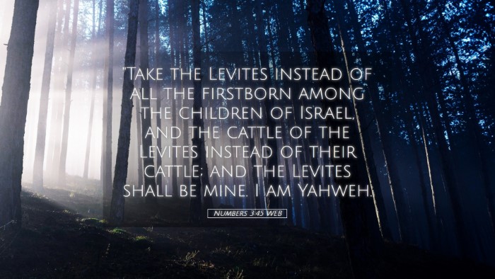 Picture 05 - Numbers 3:45 WEB Desktop Wallpaper - 