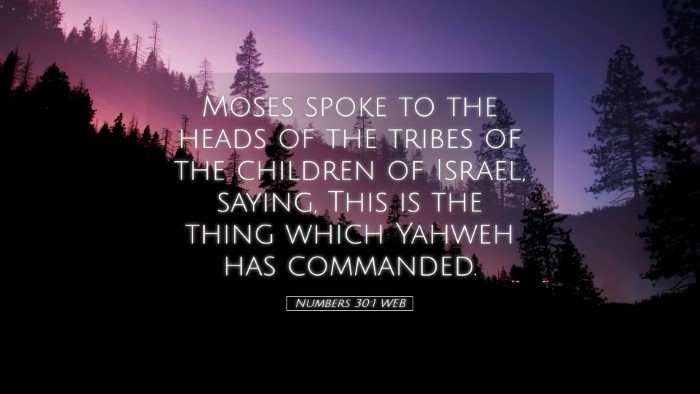Picture 05 - Numbers 30:1 WEB Desktop Wallpaper - Moses spoke to the heads of the tribes of the - Desktop Bible Verse Wallpaper