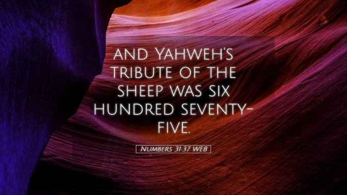 Picture 05 - Numbers 31:37 WEB Desktop Wallpaper - and Yahweh's tribute of the sheep was six hundred - Desktop Bible Verse Wallpaper