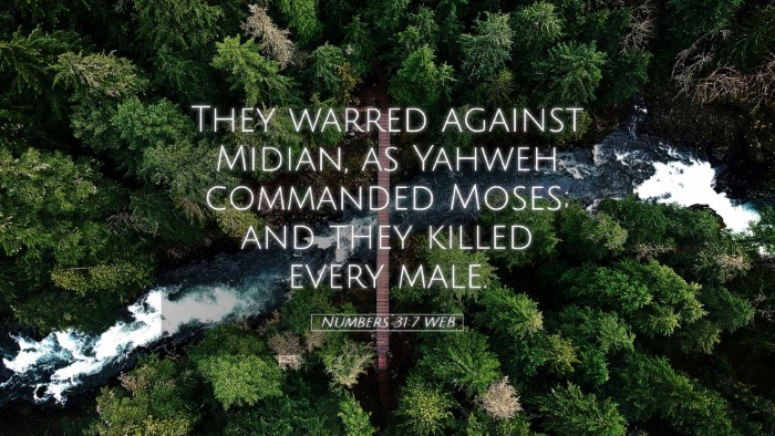 Picture 05 - Numbers 31:7 WEB Desktop Wallpaper - They warred against Midian, as Yahweh commanded - Desktop Bible Verse Wallpaper