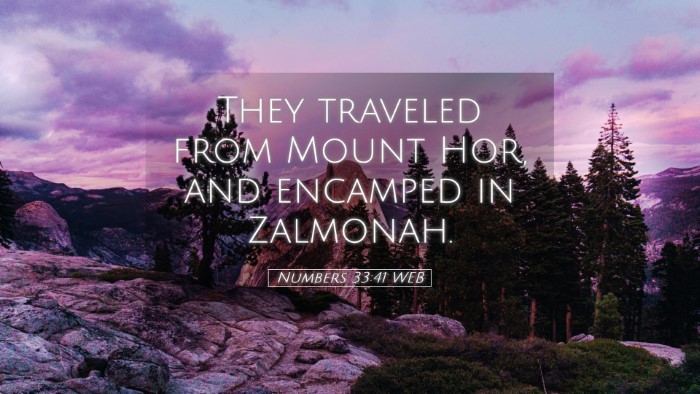 Picture 05 - Numbers 33:41 WEB Desktop Wallpaper - They traveled from Mount Hor, and encamped in - Desktop Bible Verse Wallpaper