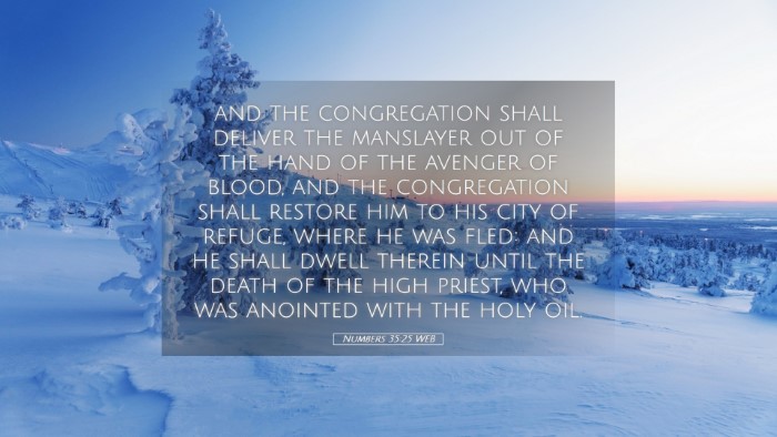 Picture 05 - Numbers 35:25 WEB Desktop Wallpaper - and the congregation shall deliver the manslayer - Desktop Bible Verse Wallpaper