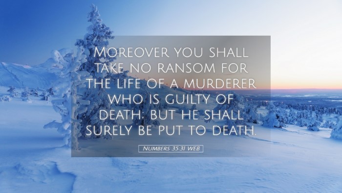 Picture 05 - Numbers 35:31 WEB Desktop Wallpaper - Moreover you shall take no ransom for the life of - Desktop Bible Verse Wallpaper