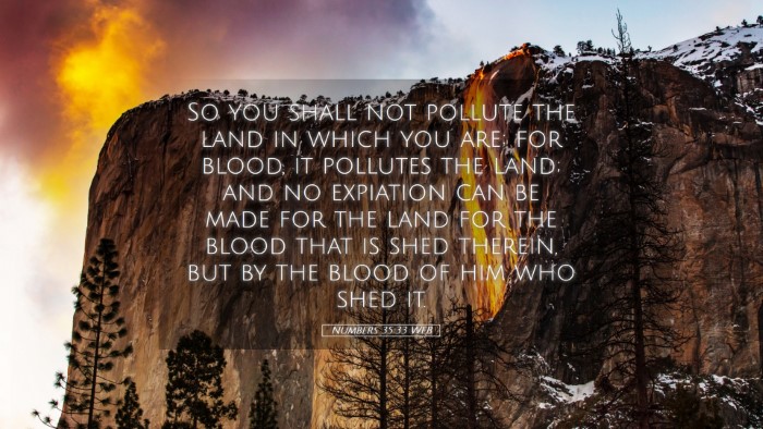 Picture 05 - Numbers 35:33 WEB Desktop Wallpaper - So you shall not pollute the land in which you - Desktop Bible Verse Wallpaper