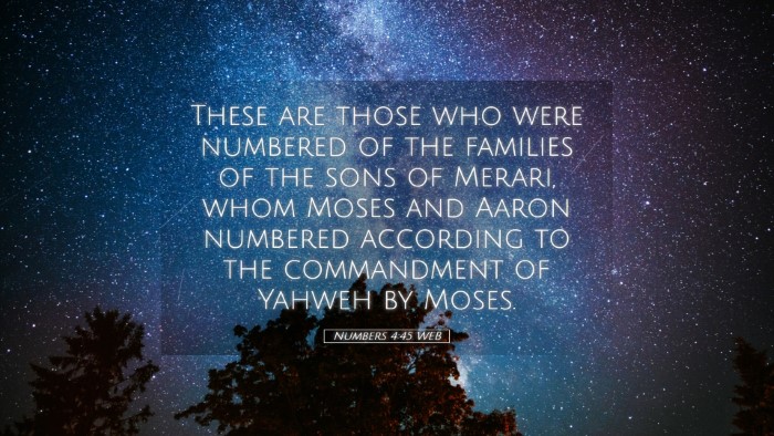 Picture 05 - Numbers 4:45 WEB Desktop Wallpaper - These are those who were numbered of the families - Desktop Bible Verse Wallpaper