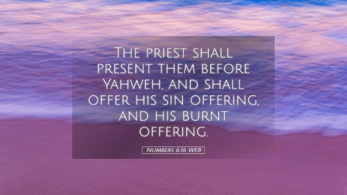 Picture 05 - Numbers 6:16 WEB Desktop Wallpaper - The priest shall present them before Yahweh, and - Desktop Bible Verse Wallpaper