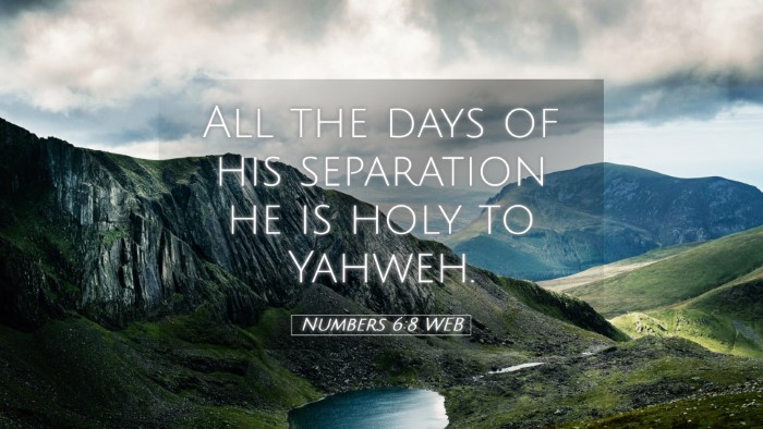 Picture 05 - Numbers 6:8 WEB Desktop Wallpaper - All the days of his separation he is holy to - Desktop Bible Verse Wallpaper