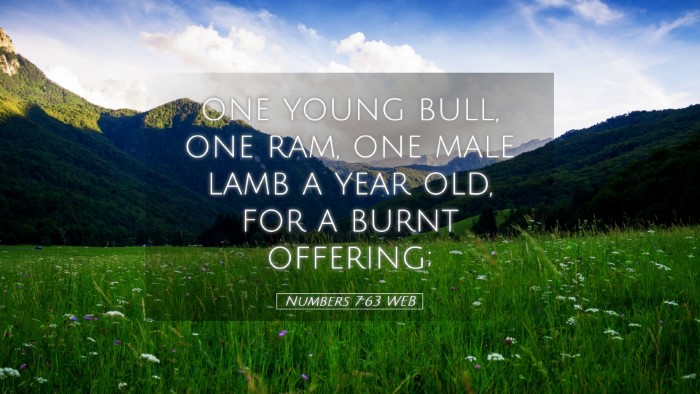 Picture 05 - Numbers 7:63 WEB Desktop Wallpaper - one young bull, one ram, one male lamb a year - Desktop Bible Verse Wallpaper