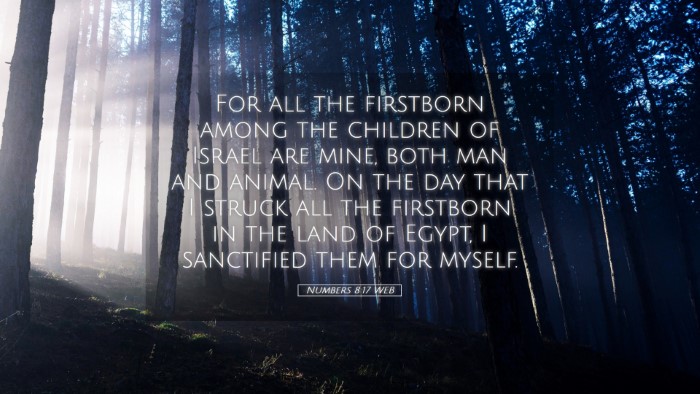 Picture 05 - Numbers 8:17 WEB Desktop Wallpaper - For all the firstborn among the children of - Desktop Bible Verse Wallpaper