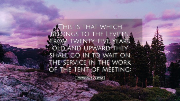 Picture 05 - Numbers 8:24 WEB Desktop Wallpaper - 