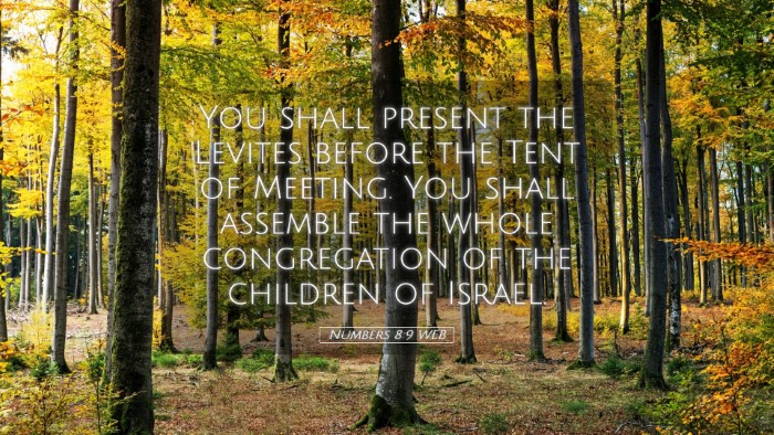 Picture 05 - Numbers 8:9 WEB Desktop Wallpaper - You shall present the Levites before the Tent of - Desktop Bible Verse Wallpaper