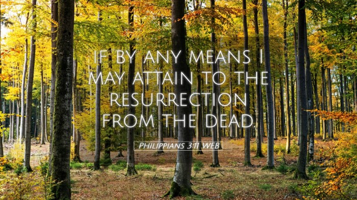 Picture 05 - Philippians 3:11 WEB Desktop Wallpaper - if by any means I may attain to the resurrection - Desktop Bible Verse Wallpaper