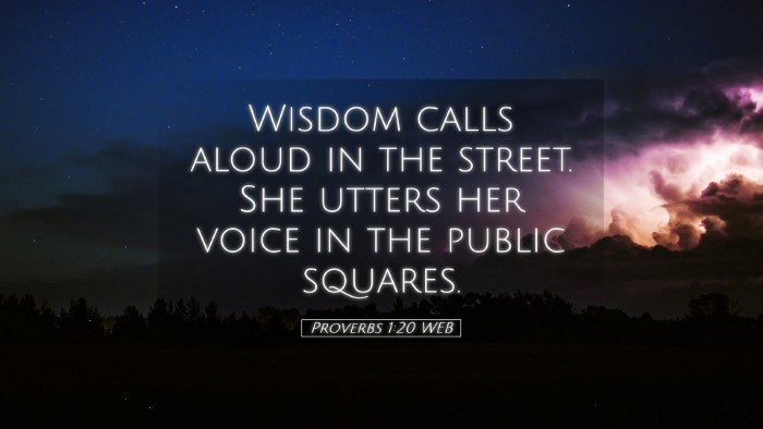 Picture 05 - Proverbs 1:20 WEB Desktop Wallpaper - Wisdom calls aloud in the street. She utters her - Desktop Bible Verse Wallpaper