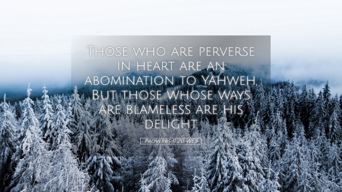 Picture 05 - Proverbs 11:20 WEB Desktop Wallpaper - Those who are perverse in heart are an - Desktop Bible Verse Wallpaper