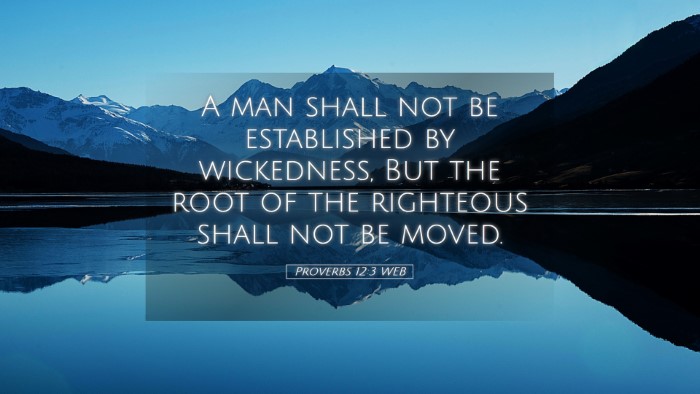 Picture 05 - Proverbs 12:3 WEB Desktop Wallpaper - A man shall not be established by wickedness, But - Desktop Bible Verse Wallpaper