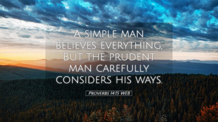 Picture 05 - Proverbs 14:15 WEB Desktop Wallpaper - A simple man believes everything, But the prudent - Desktop Bible Verse Wallpaper