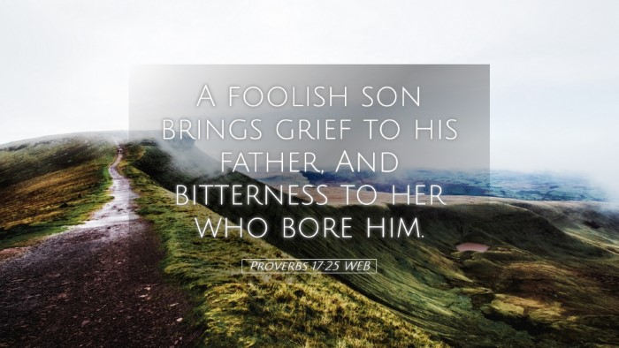 Picture 05 - Proverbs 17:25 WEB Desktop Wallpaper - A foolish son brings grief to his father, And - Desktop Bible Verse Wallpaper