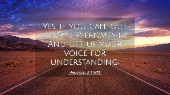 Picture 05 - Proverbs 2:3 WEB Desktop Wallpaper - Yes, if you call out for discernment, And lift up - Desktop Bible Verse Wallpaper