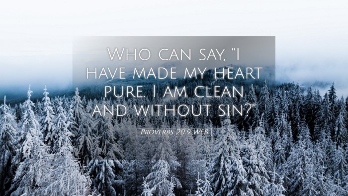 Picture 05 - Proverbs 20:9 WEB Desktop Wallpaper - Who can say, 