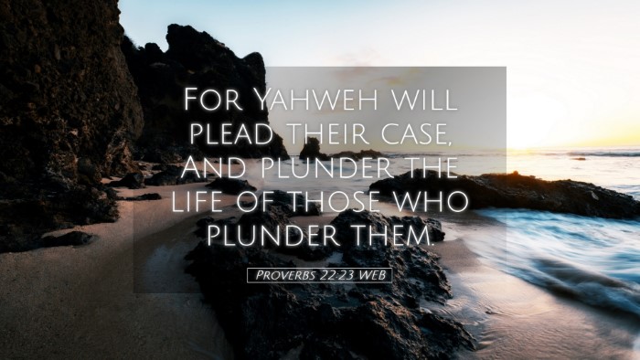 Picture 05 - Proverbs 22:23 WEB Desktop Wallpaper - For Yahweh will plead their case, And plunder the - Desktop Bible Verse Wallpaper