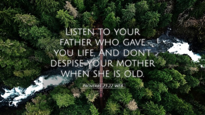 Picture 05 - Proverbs 23:22 WEB Desktop Wallpaper - Listen to your father who gave you life, And - Desktop Bible Verse Wallpaper