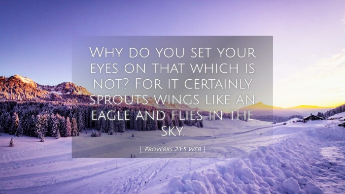 Picture 05 - Proverbs 23:5 WEB Desktop Wallpaper - Why do you set your eyes on that which is not? - Desktop Bible Verse Wallpaper