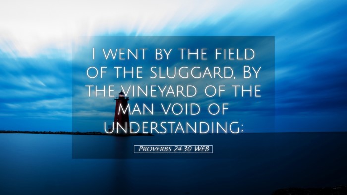Picture 05 - Proverbs 24:30 WEB Desktop Wallpaper - I went by the field of the sluggard, By the - Desktop Bible Verse Wallpaper