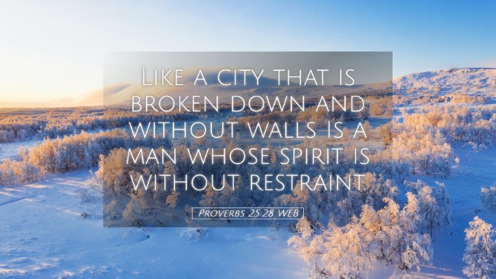 Picture 05 - Proverbs 25:28 WEB Desktop Wallpaper - Like a city that is broken down and without walls - Desktop Bible Verse Wallpaper