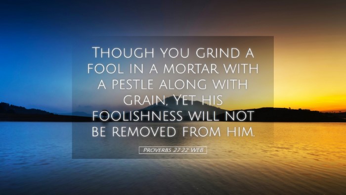 Picture 05 - Proverbs 27:22 WEB Desktop Wallpaper - Though you grind a fool in a mortar with a pestle - Desktop Bible Verse Wallpaper