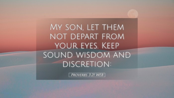 Picture 05 - Proverbs 3:21 WEB Desktop Wallpaper - My son, let them not depart from your eyes. Keep - Desktop Bible Verse Wallpaper