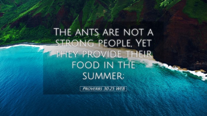 Picture 05 - Proverbs 30:25 WEB Desktop Wallpaper - The ants are not a strong people, Yet they - Desktop Bible Verse Wallpaper