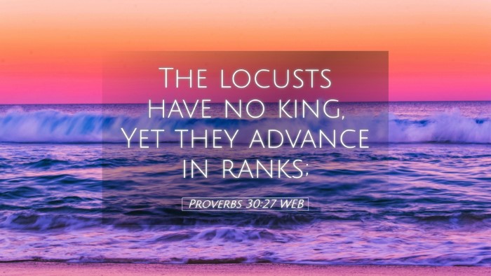 Picture 05 - Proverbs 30:27 WEB Desktop Wallpaper - The locusts have no king, Yet they advance in - Desktop Bible Verse Wallpaper