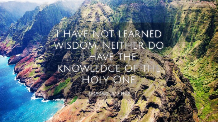 Picture 05 - Proverbs 30:3 WEB Desktop Wallpaper - I have not learned wisdom, Neither do I have the - Desktop Bible Verse Wallpaper