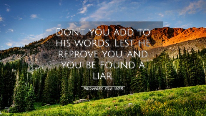 Picture 05 - Proverbs 30:6 WEB Desktop Wallpaper - Don't you add to his words, Lest he reprove you, - Desktop Bible Verse Wallpaper