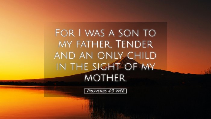 Picture 05 - Proverbs 4:3 WEB Desktop Wallpaper - For I was a son to my father, Tender and an only - Desktop Bible Verse Wallpaper