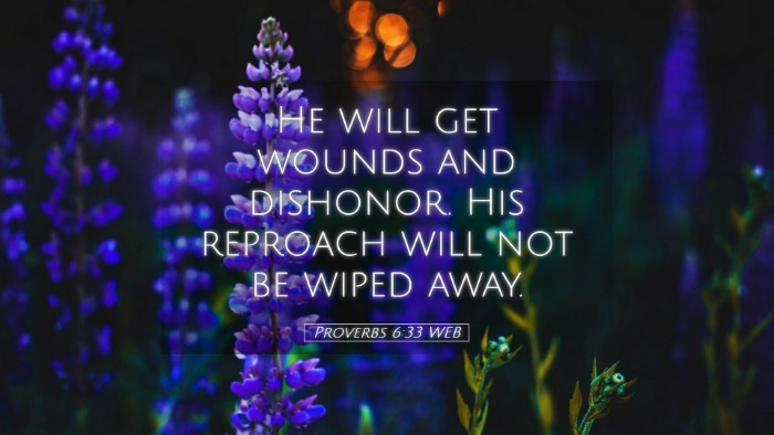 Picture 05 - Proverbs 6:33 WEB Desktop Wallpaper - He will get wounds and dishonor. His reproach - Desktop Bible Verse Wallpaper