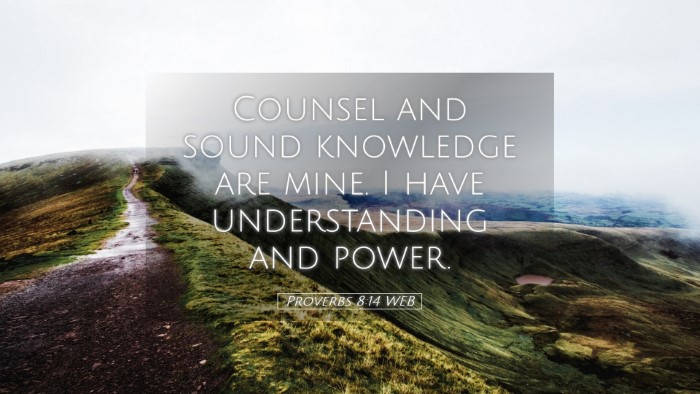 Picture 05 - Proverbs 8:14 WEB Desktop Wallpaper - Counsel and sound knowledge are mine. I have - Desktop Bible Verse Wallpaper