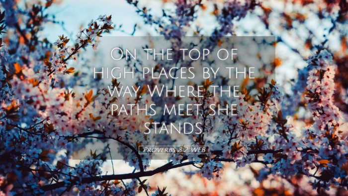 Picture 05 - Proverbs 8:2 WEB Desktop Wallpaper - On the top of high places by the way, Where the - Desktop Bible Verse Wallpaper