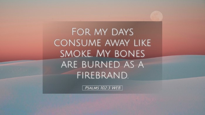 Picture 05 - Psalms 102:3 WEB Desktop Wallpaper - For my days consume away like smoke. My bones are - Desktop Bible Verse Wallpaper
