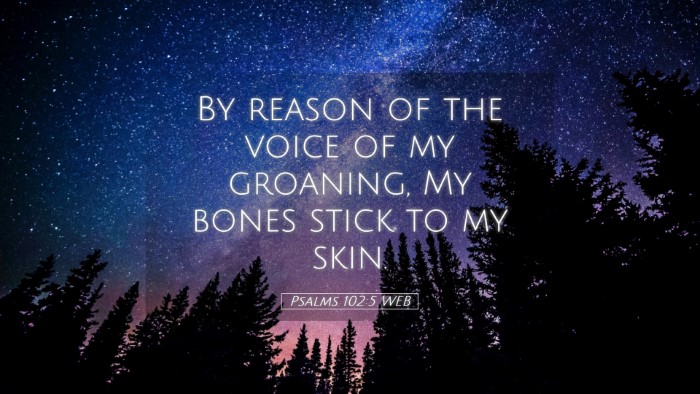 Picture 05 - Psalms 102:5 WEB Desktop Wallpaper - By reason of the voice of my groaning, My bones - Desktop Bible Verse Wallpaper