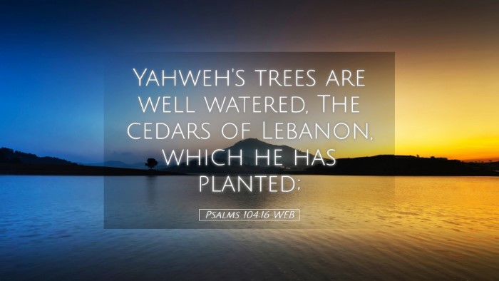 Picture 05 - Psalms 104:16 WEB Desktop Wallpaper - Yahweh's trees are well watered, The cedars of - Desktop Bible Verse Wallpaper