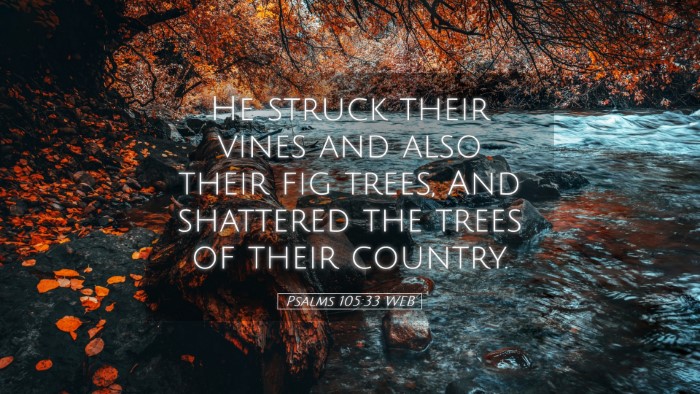 Picture 05 - Psalms 105:33 WEB Desktop Wallpaper - He struck their vines and also their fig trees, - Desktop Bible Verse Wallpaper